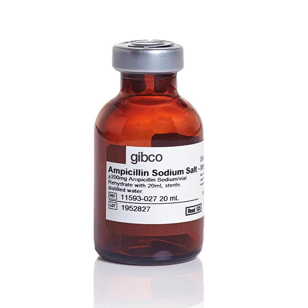 Gibco™ Ampicillin, Sodium Salt, Irradiated